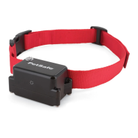 Preview: Petsafe PIG19-10763