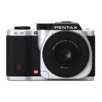 Preview: Pentax K-01