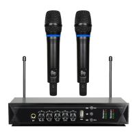 Preview: Pyle PDWM2120