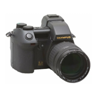 Preview: Olympus Camedia E-20P