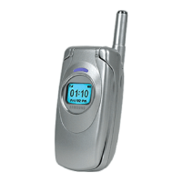 Preview: Samsung SGH-S307