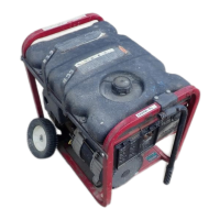 Preview: Briggs & Stratton 030208