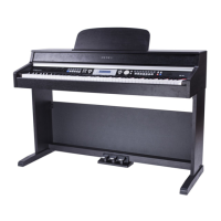 Preview: Medeli DP269