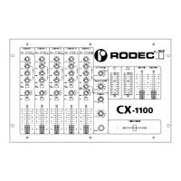 Preview: Rodec CX-1100