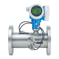 Preview: Endress+Hauser Proline Prosonic Flow B 200