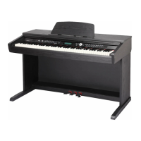Preview: Medeli DP 330