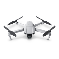 Preview: dji CP.MA.00000169.01
