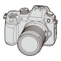 Preview: Panasonic DC-GH5M2BODY