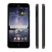 Preview: Zte Z839V