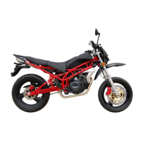 Preview: Sachs Bikes 2006 X-Road 250