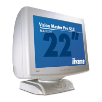 Preview: Iiyama HA202DT