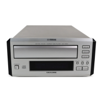 Preview: Yamaha CRX-E500