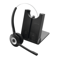 Preview: Jabra PRO 925
