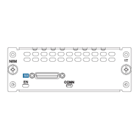 Preview: Cisco NIM-1T