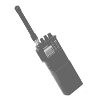 Preview: Yaesu FTM-2001