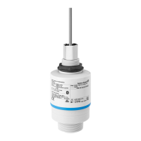 Preview: Endress+Hauser Micropilot FMR20 HART