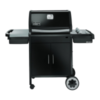 Preview: Weber Spirit 89838