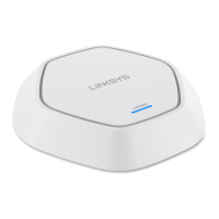 Preview: Linksys LAPN600