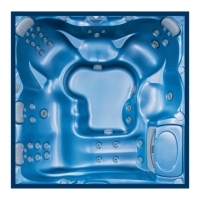 Preview: Sundance Spas Camdenl Certa