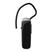 Preview: Jabra MINI