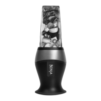 Preview: Ninja QB3000SS
