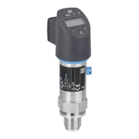 Preview: Endress+Hauser Ceraphant PTP31B