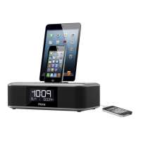 Preview: iHome iDL100