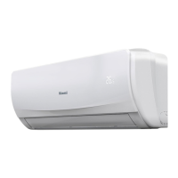 Preview: Rinnai RINV25RHDRC
