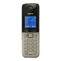 Preview: Gigaset C300