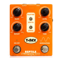Preview: T-Rex Reptile