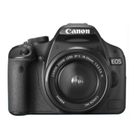 Preview: Canon EOS 500D