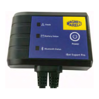 Preview: Magneti Marelli iBat Expert Pro