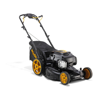 Preview: McCulloch M53-150AWFP