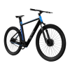 Bicycle Logo