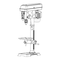 Preview: Bucktool DP12VL