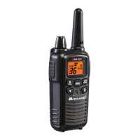 Preview: Midland LXT600 Series