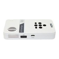 Preview: AAXA Technologies LED PICO