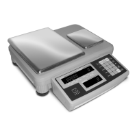 Preview: Rice Lake IQ9500