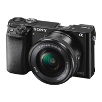 Preview: Sony ?6000