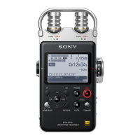 Preview: Sony PCM-D100