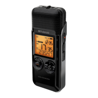 Preview: Polaroid PDR300
