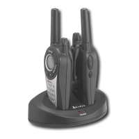 Preview: Cobra PR3575DX
