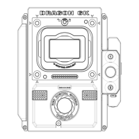 Preview: RED WEAPON 6K