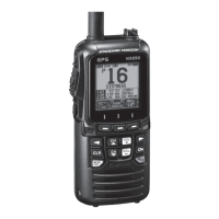 Preview: Standard Horizon HX890EBK