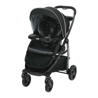 Preview: Graco Modes Click Connect