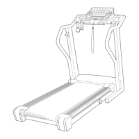 Preview: NordicTrack NTTL24080