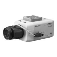 Preview: Sony SSC-DC10