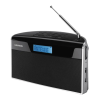 Preview: Grundig Music 81