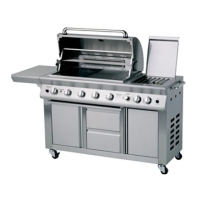 Preview: Rinnai Gourmet 4