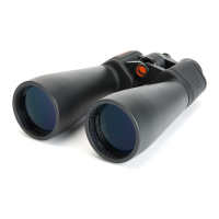 Preview: Celestron Skymaster Series